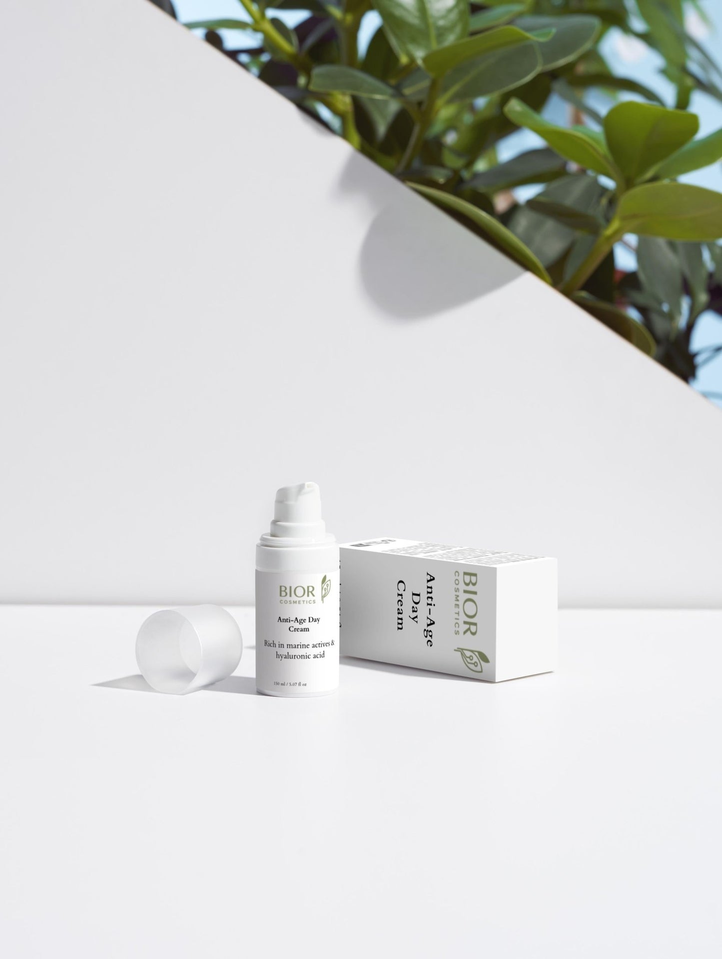 Anti - Age Day Cream – BIORÉSSENCE