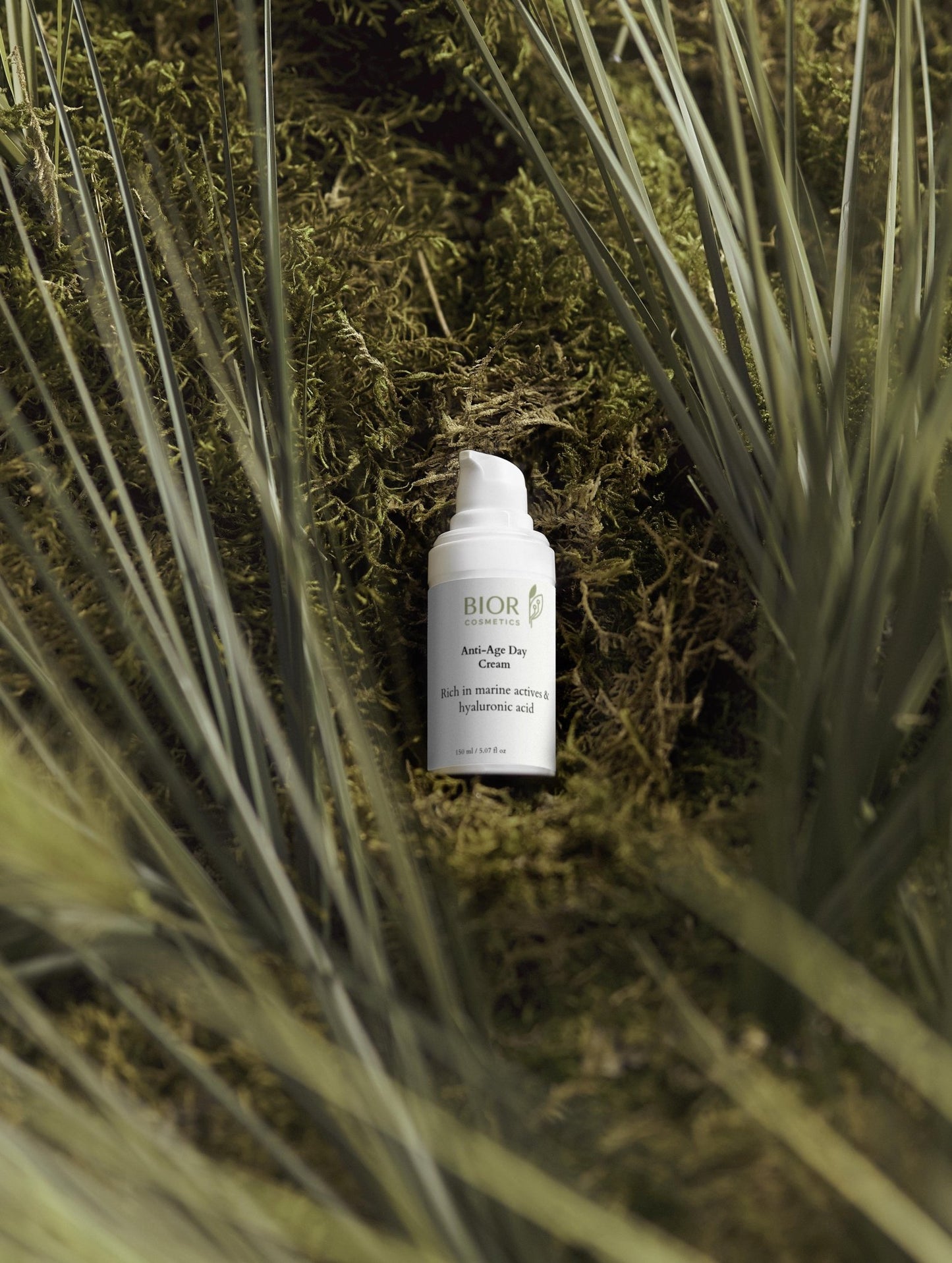 Anti - Age Day Cream – BIORÉSSENCE